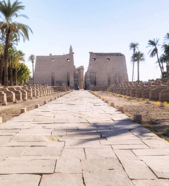 Gita giornaliera privata a Luxor da Hurghada | Valle dei Re e Karnak