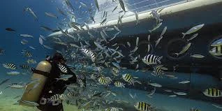 Tour sottomarino di Hurghada Sindbad con trasferimenti in hotel