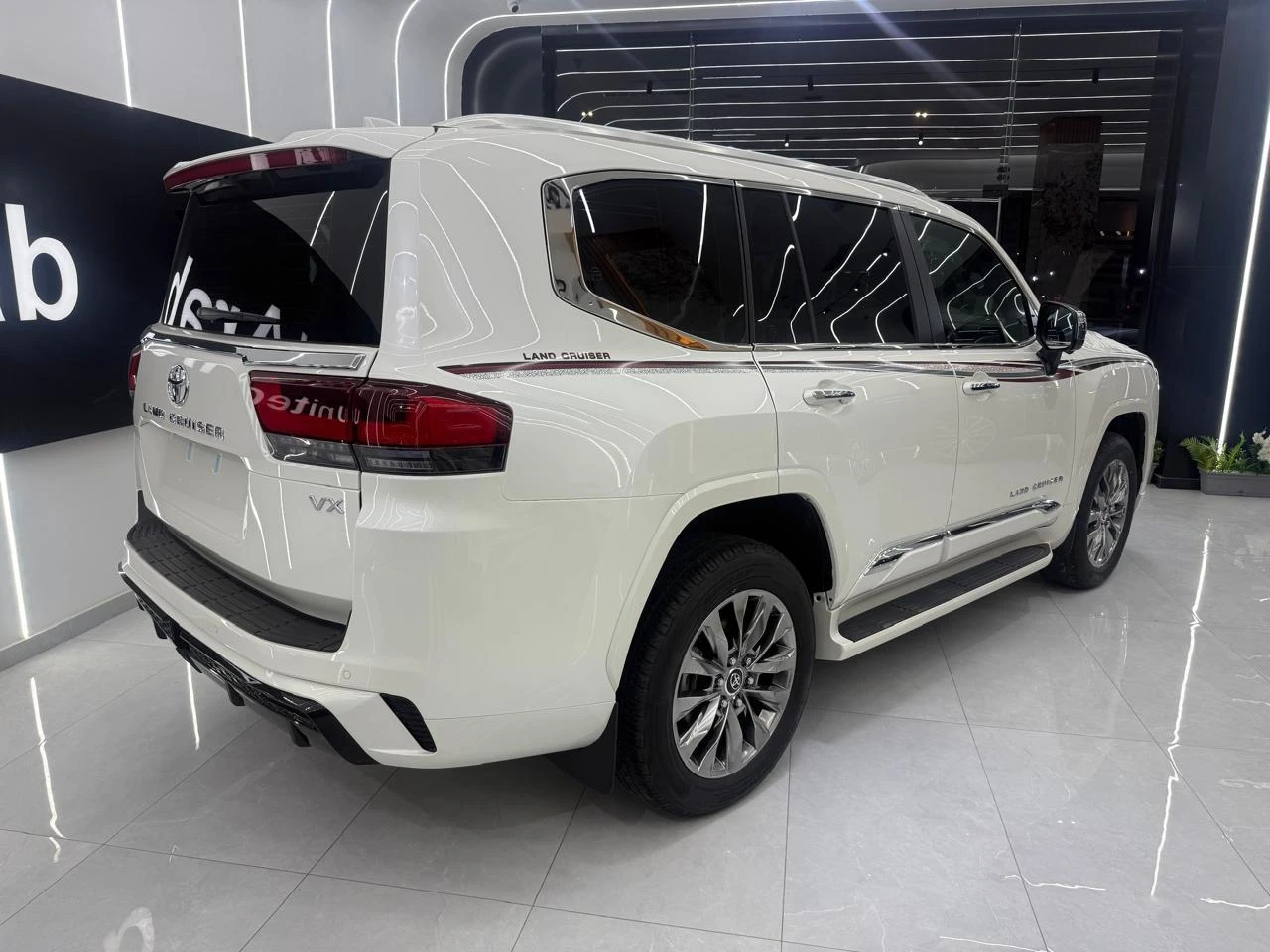 Noleggio privato di 12 ore di Toyota Land Cruiser con autista professionista