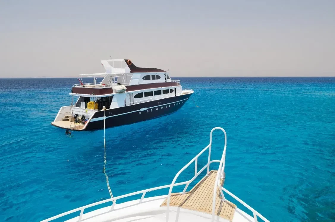 Tour in barca per l'osservazione dei delfini di Hurghada con snorkeling e pranzo