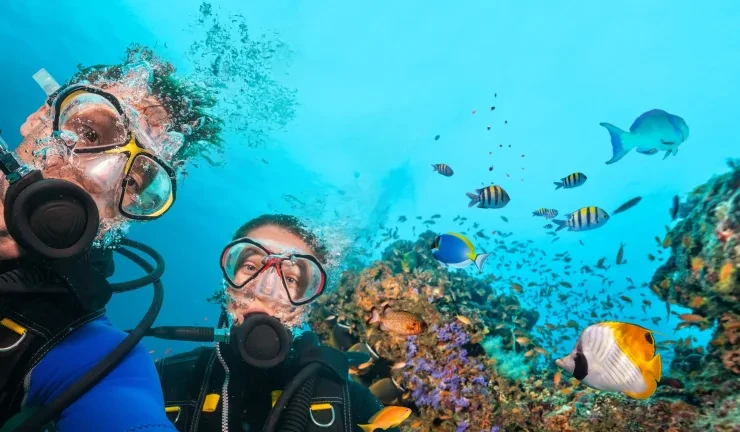 Sharm El Sheikh: immersioni e snorkeling a Ras Mohammed e White Island