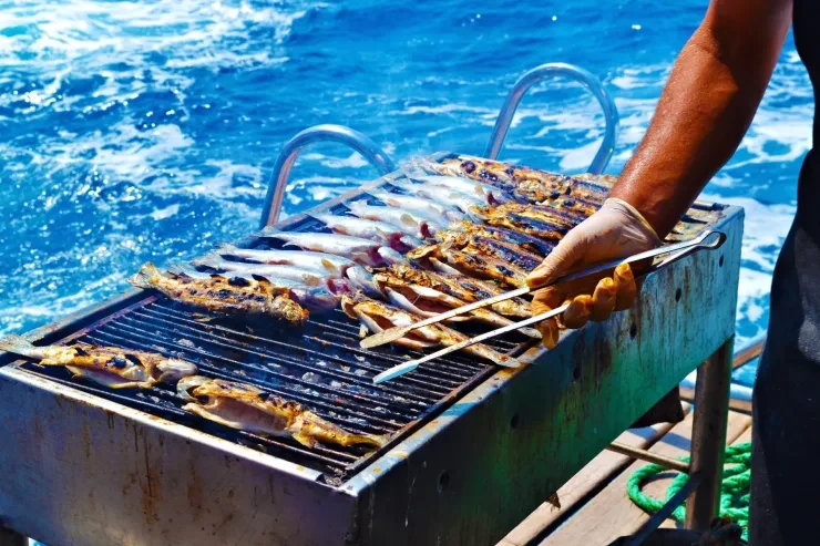Sharm El Sheikh: immersioni e snorkeling a Ras Mohammed e White Island