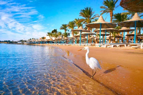Avventura a Hurghada