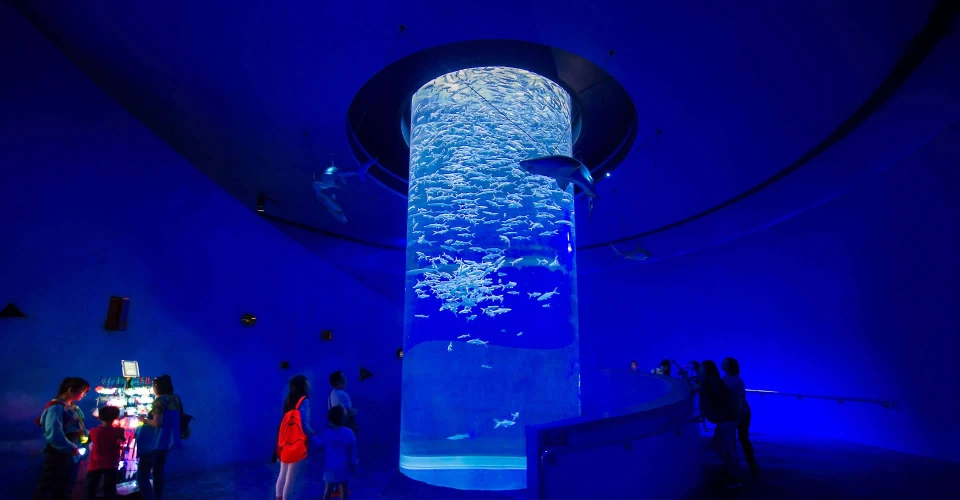 Il Grande Acquario di Hurghada