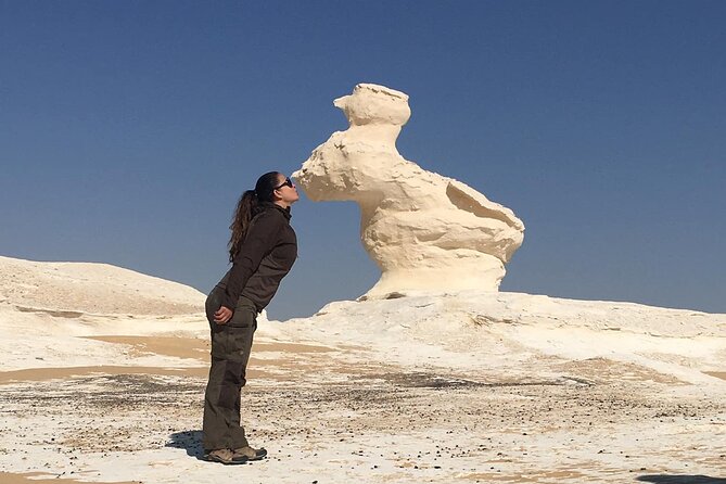 10 cose incredibili che probabilmente non sapevi sul deserto bianco in Egitto