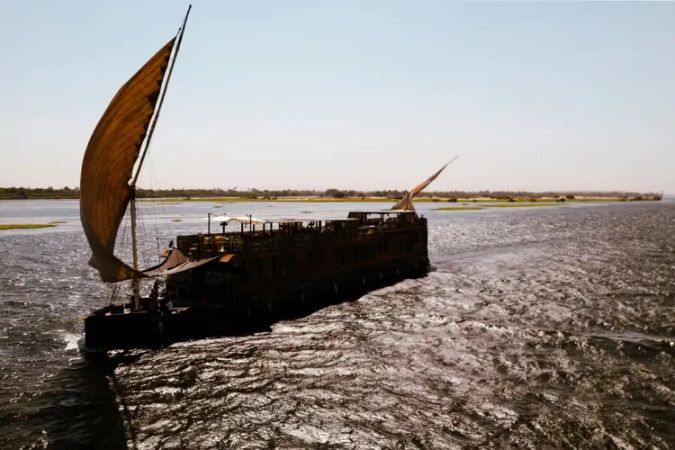 Tour serale del Cairo: esperienza in crociera con cena sul Nilo, cena sul fiume leggendario