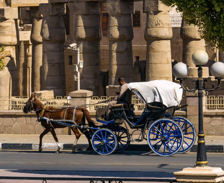Tour dell'Egitto di 7 giorni: Il Cairo, Luxor e Assuan