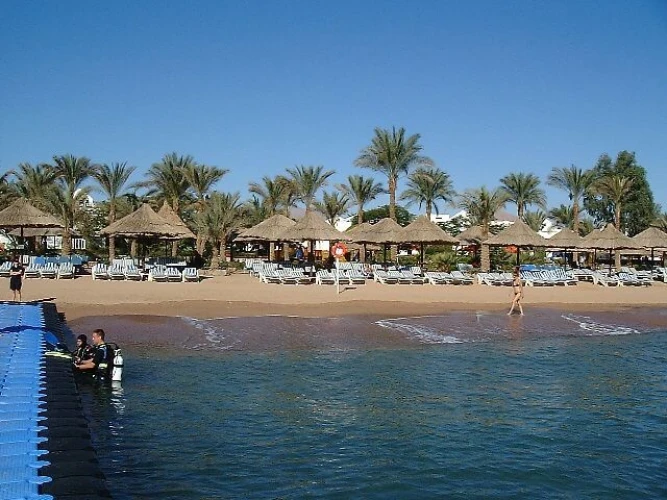 Le migliori battute di pesca a Hurghada: una guida completa per principianti e professionisti