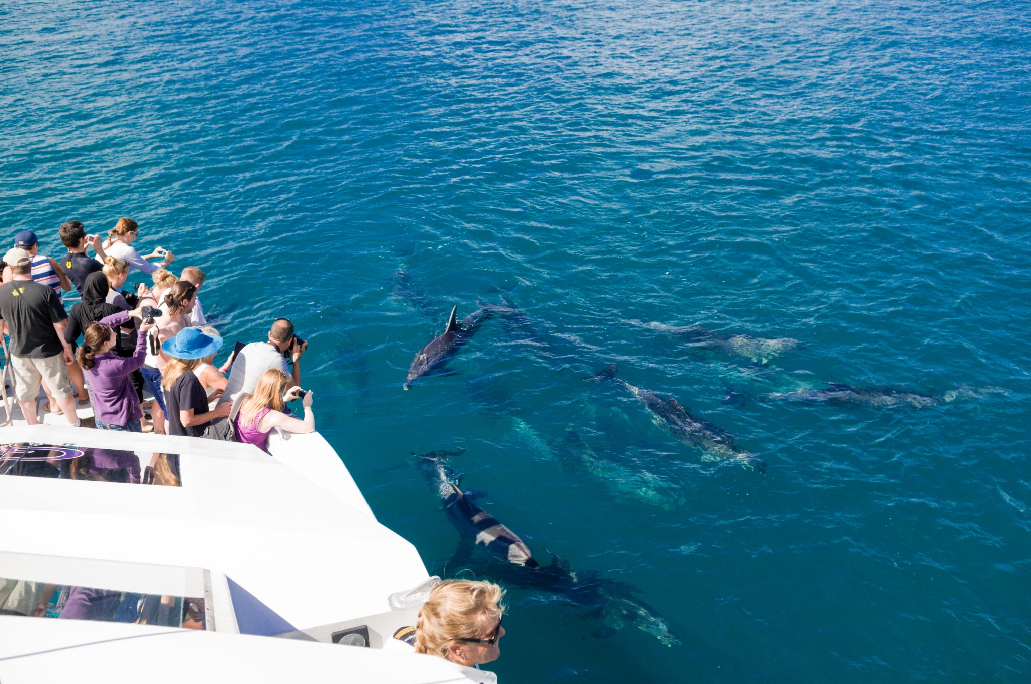 Un'esperienza di pesca indimenticabile a Hurghada: una giornata nel Mar Rosso