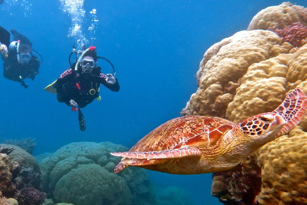 Stagioni di pesca a Hurghada: quando andare e cosa puoi catturare