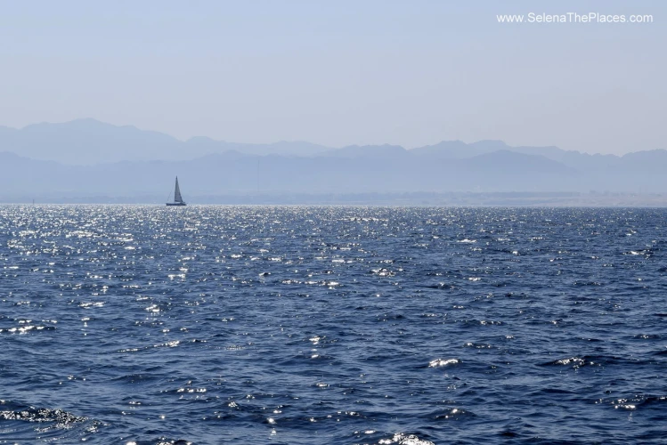 Stagioni di pesca a Hurghada: quando andare e cosa puoi catturare