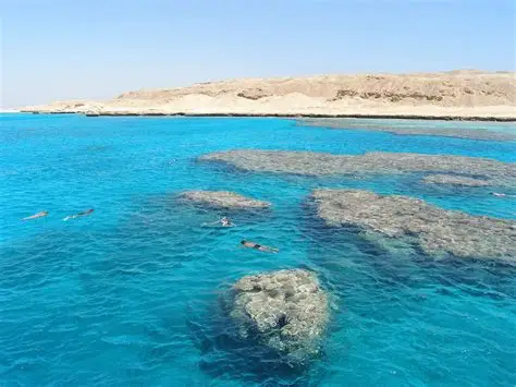 Dal primo lancio alla prima cattura: la mia avventura nel Mar Rosso