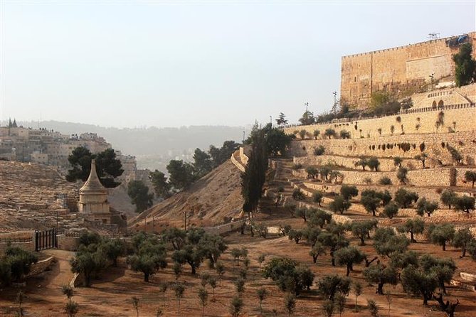 Perché scegliere l'Egitto per il tuo prossimo tour in Terra Santa