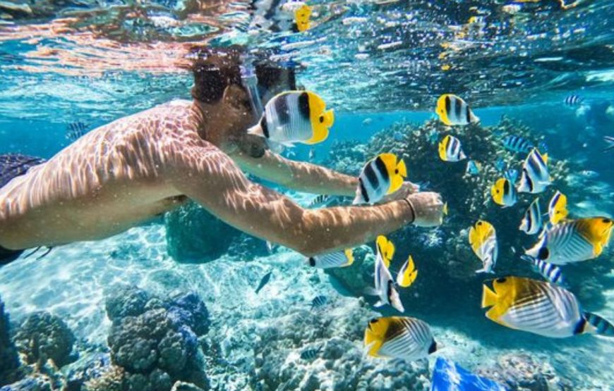 Consigli sulla salute per viaggiare in Egitto