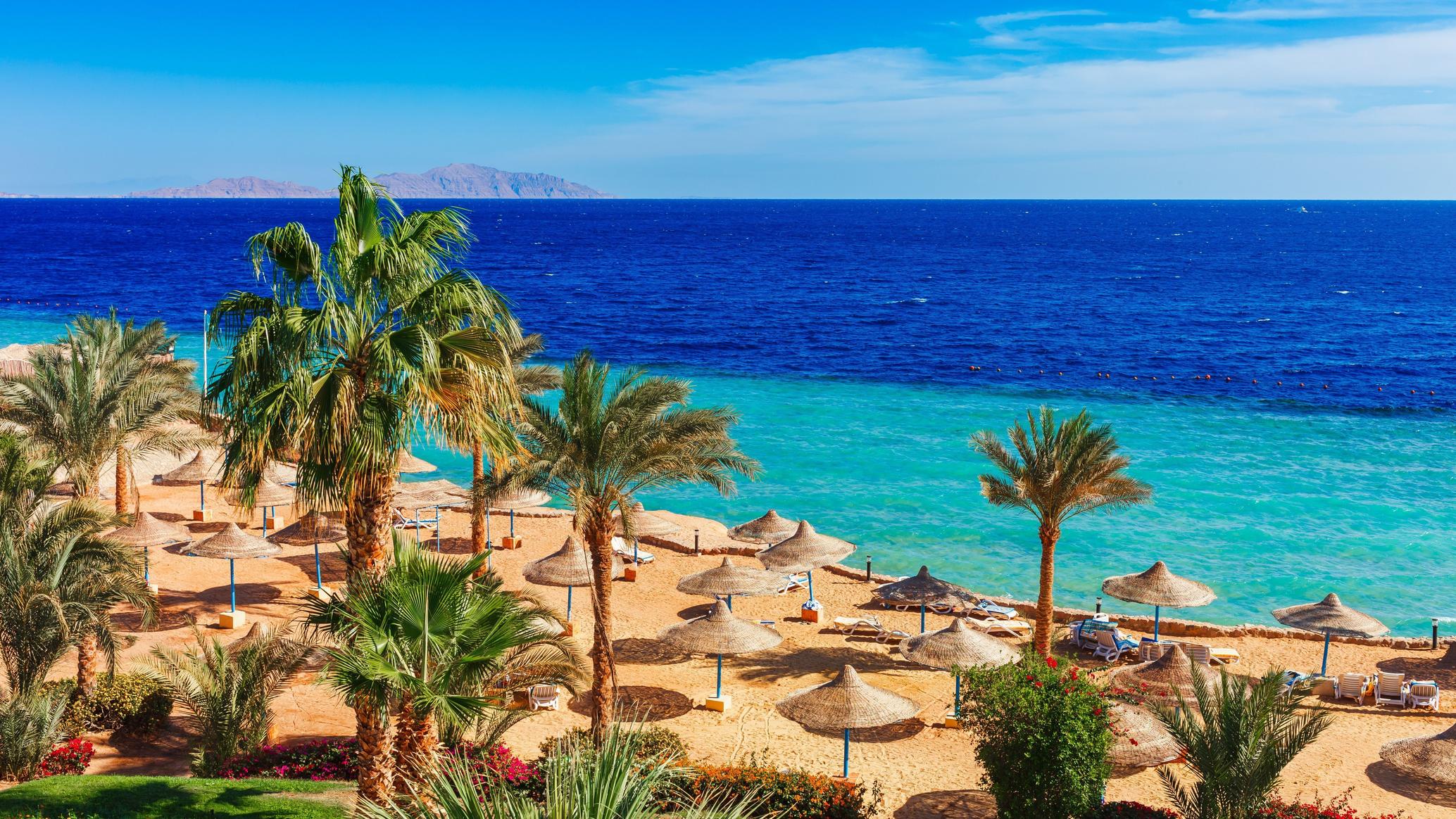 Marsa Alam vs Hurghada: qual è quello giusto per te?