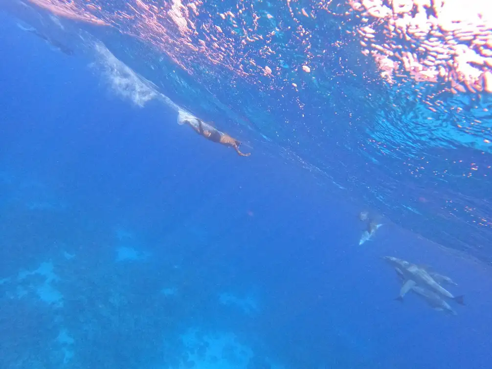 I 5 migliori siti di immersione a Marsa Alam da non perdere | I migliori prezzi e offerte del 2026