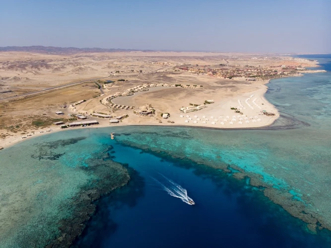 I 5 migliori siti di immersione a Marsa Alam da non perdere | I migliori prezzi e offerte del 2026