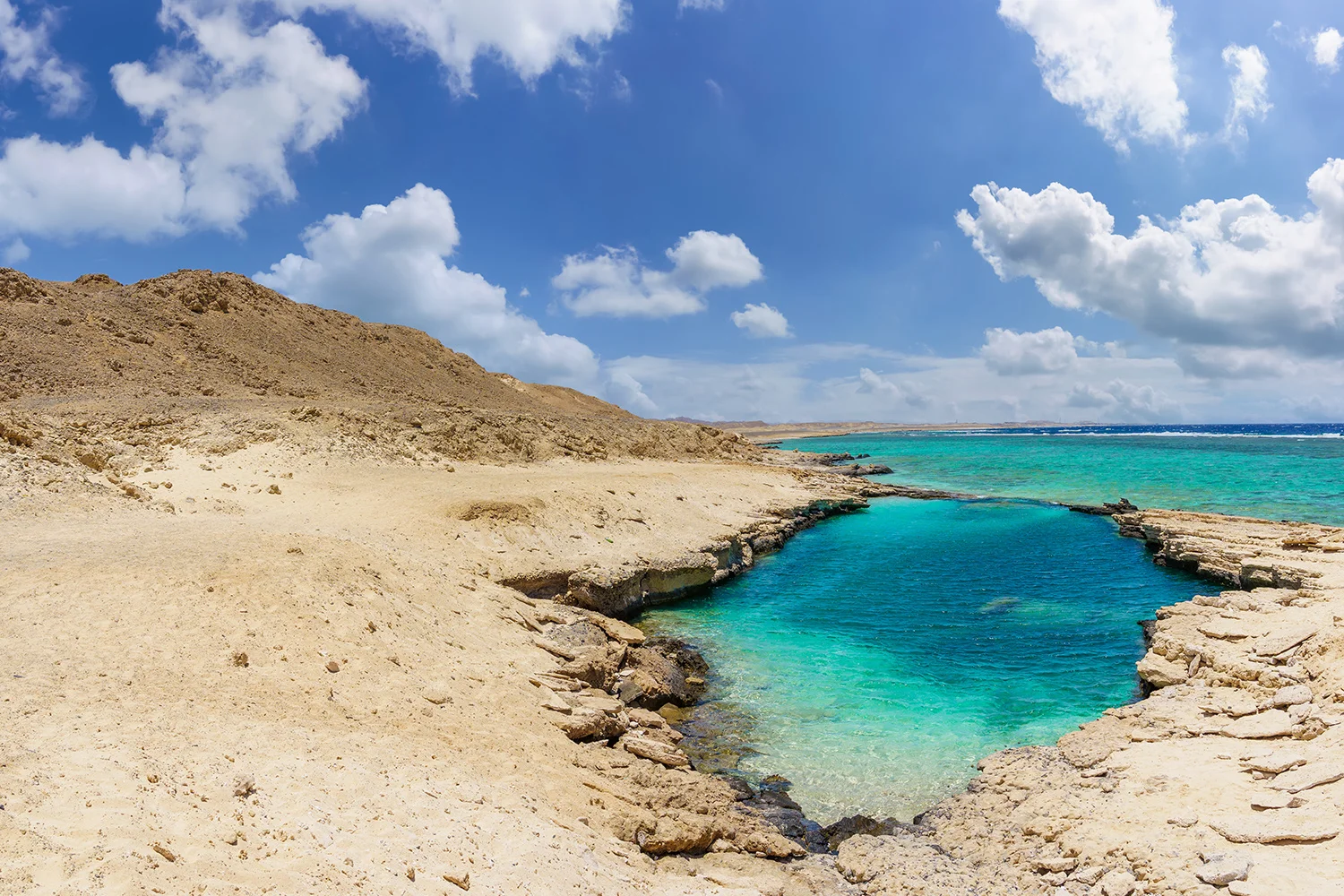 Perché Elphinstone Reef è la destinazione da sogno di ogni subacqueo | Le migliori tariffe di viaggio del 2026