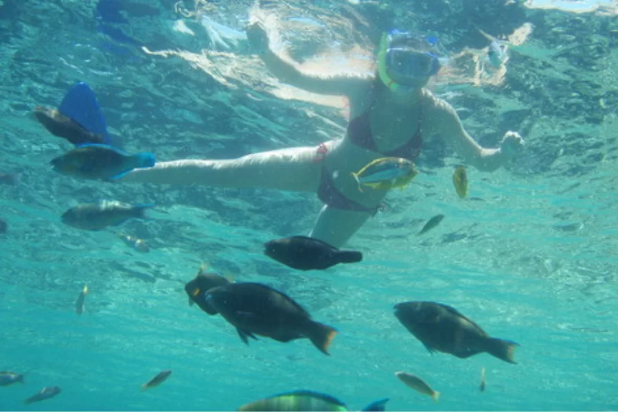 Magia della vita marina: cosa aspettarsi sotto le onde a Marsa Alam (Guida 2026-2028)