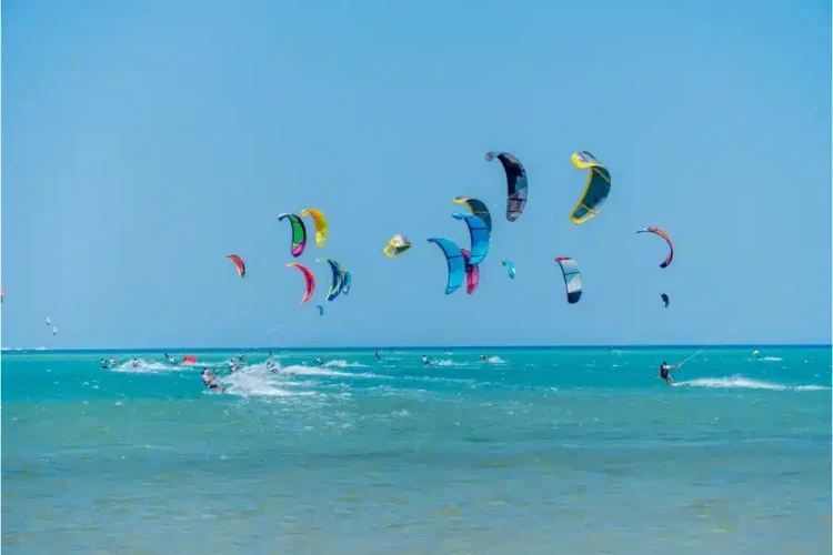 Magia della vita marina: cosa aspettarsi sotto le onde a Marsa Alam (Guida 2026-2028)