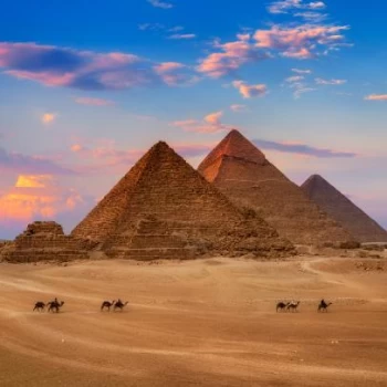FREE Transfer Tour in Cairo & Giza