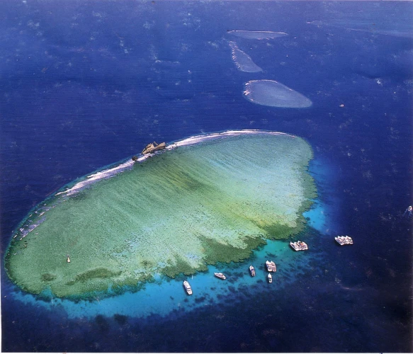 Nel profondo blu: esplorazione delle leggendarie quattro barriere coralline dell'isola di Tiran