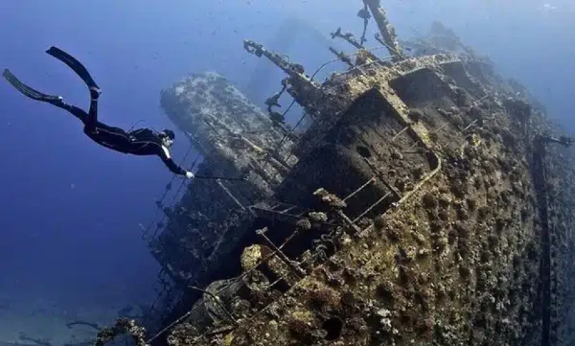 Guida allo snorkeling a Sharm El-Sheikh: le 5 migliori barriere coralline e spiagge da visitare