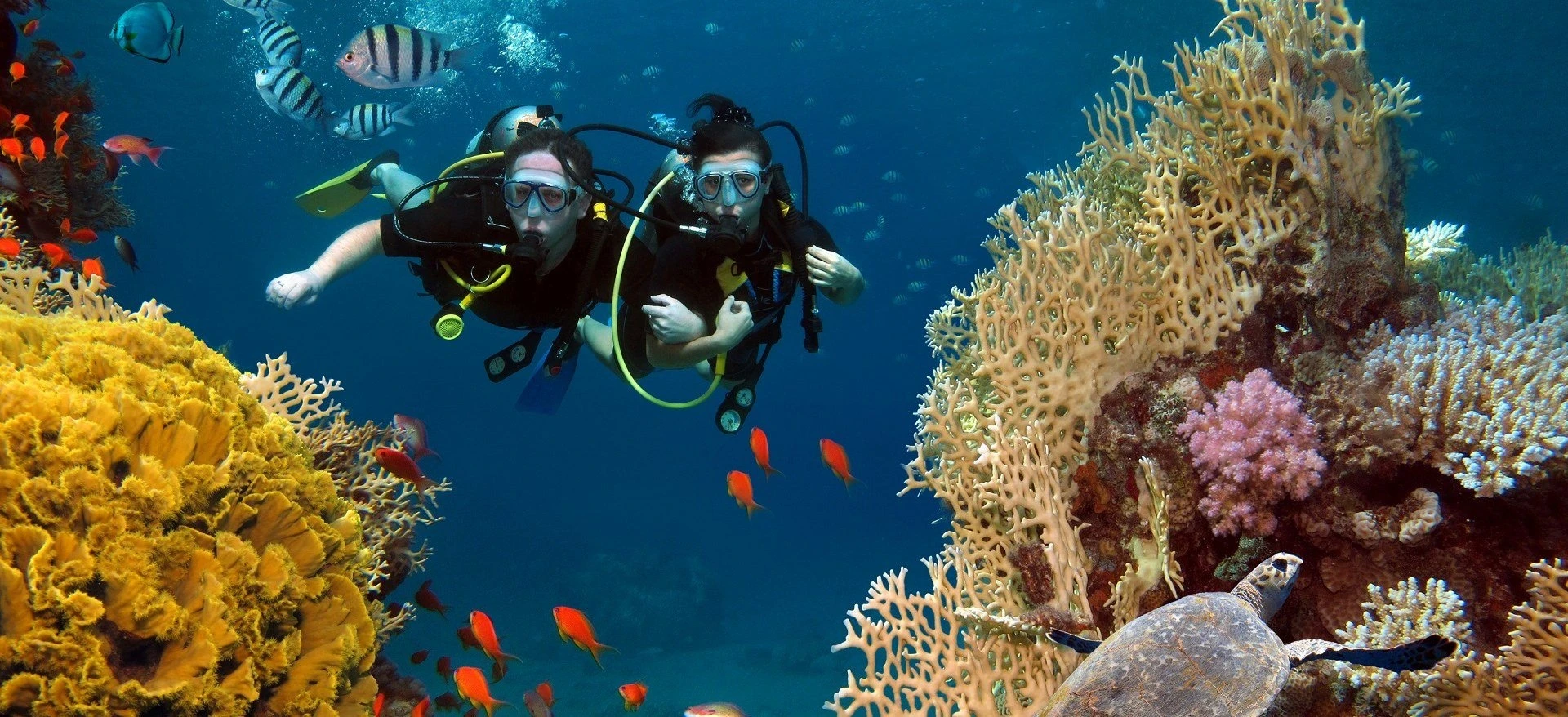Scuba diving in Egypt with colorful coral reefs and clear blue waters