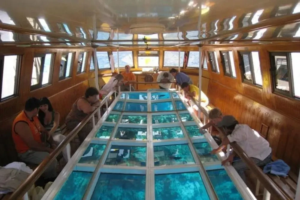 Underwater coral reef views from a glass bottom boat in Egypt