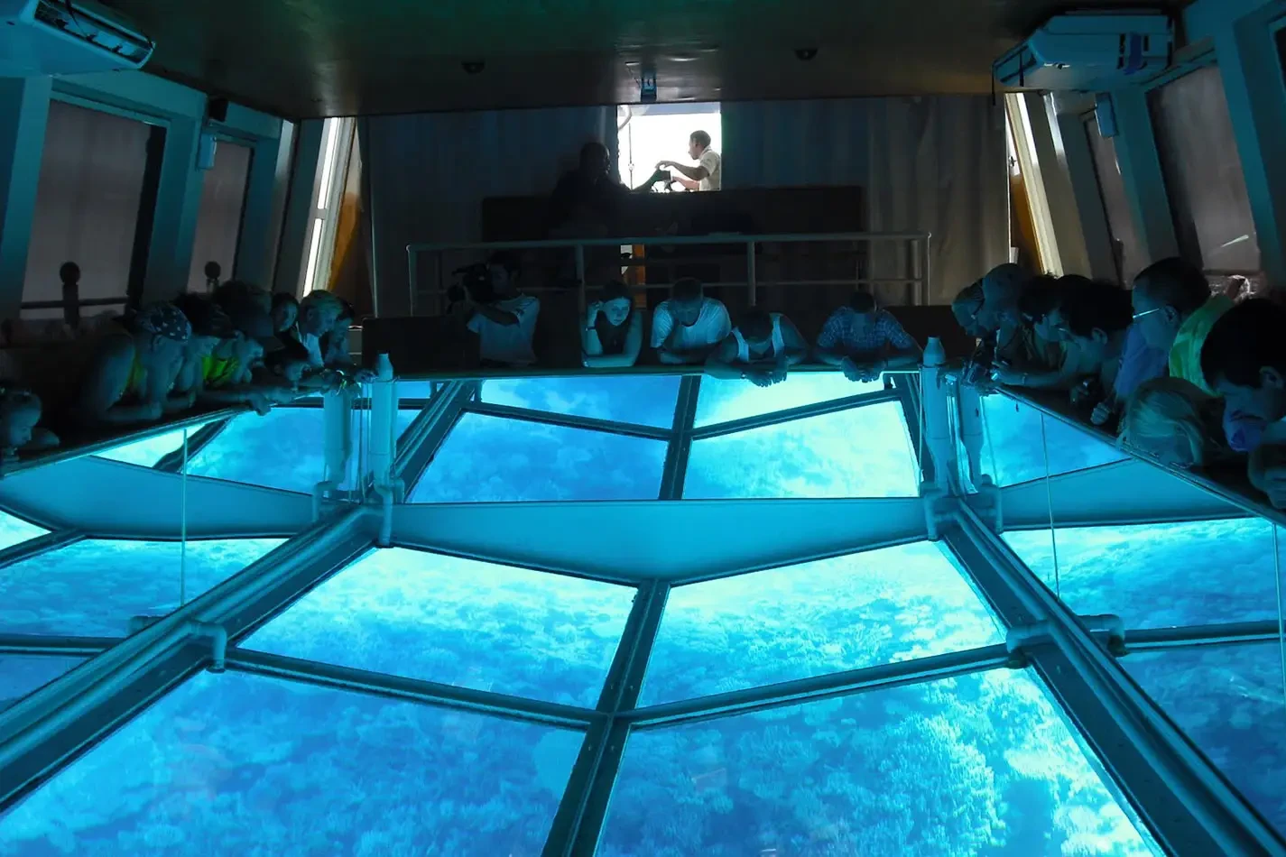 glass bottom boat tour allows passengers to view coral reefs