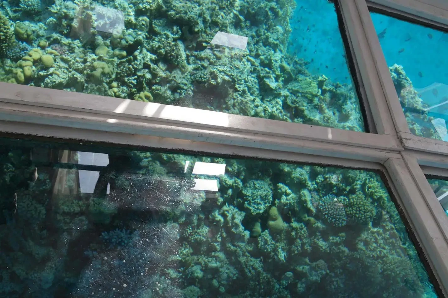 Glass bottom boat used for coral reef viewing in Sharm El Sheikh