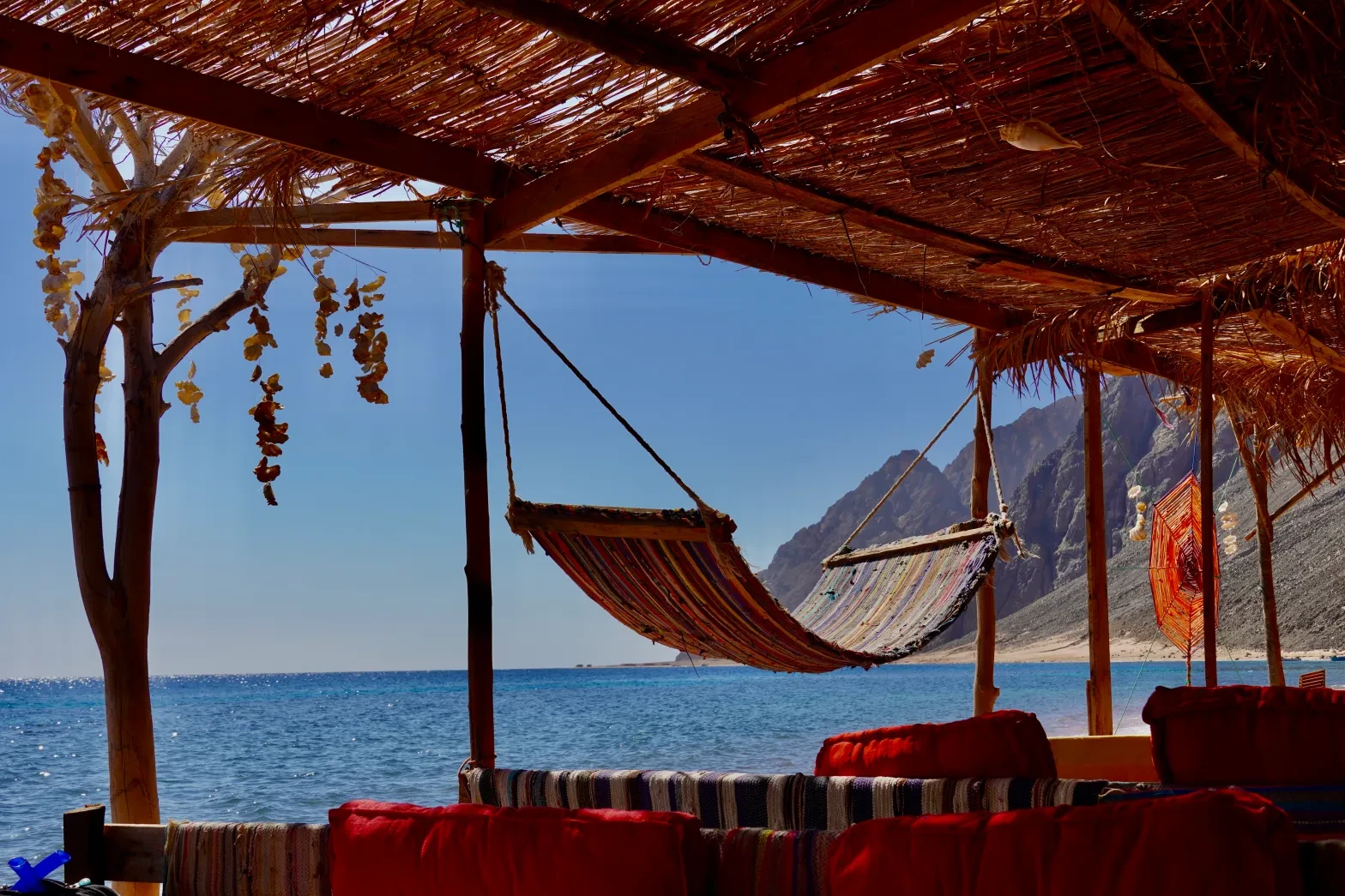 Dahab Sea View Local Restaurant Experience