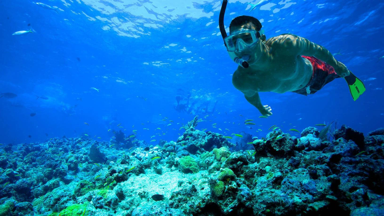 Sharm El Sheikh Diving Boat Tour