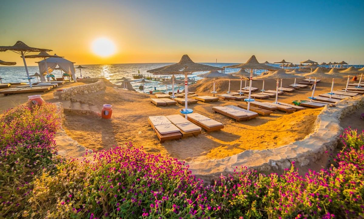 Comfortable Van Transfer from Cairo to Sharm El Sheikh