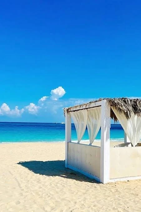 Comfortable Van Transfer from Cairo to North Coast