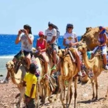 Day Tour to Dahab & Snorkeling at Blue Hole