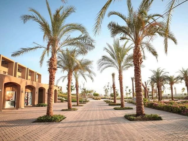 MGM Wellness Retreat (Aswan)