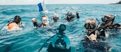 Dive in Sharm El Sheikh - Diving boat trip