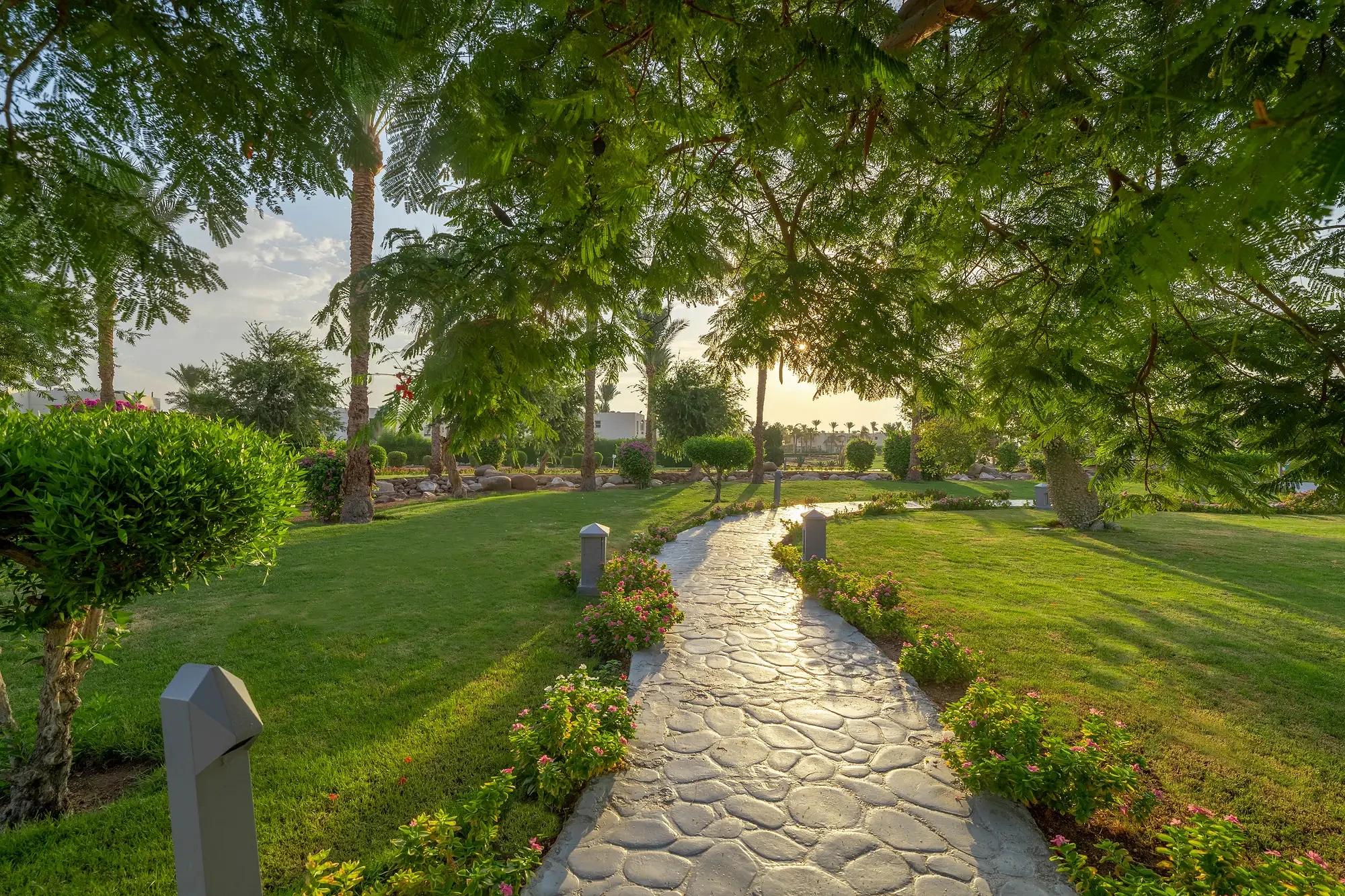 Aurora Oriental Resort (Sharm El Sheikh)