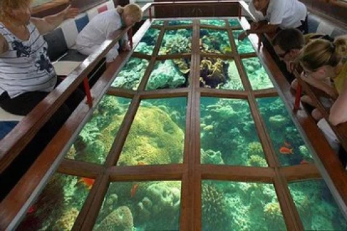 Glass Bottom Boat and Dinner Cruise by Boat in Sharm El Sheikh