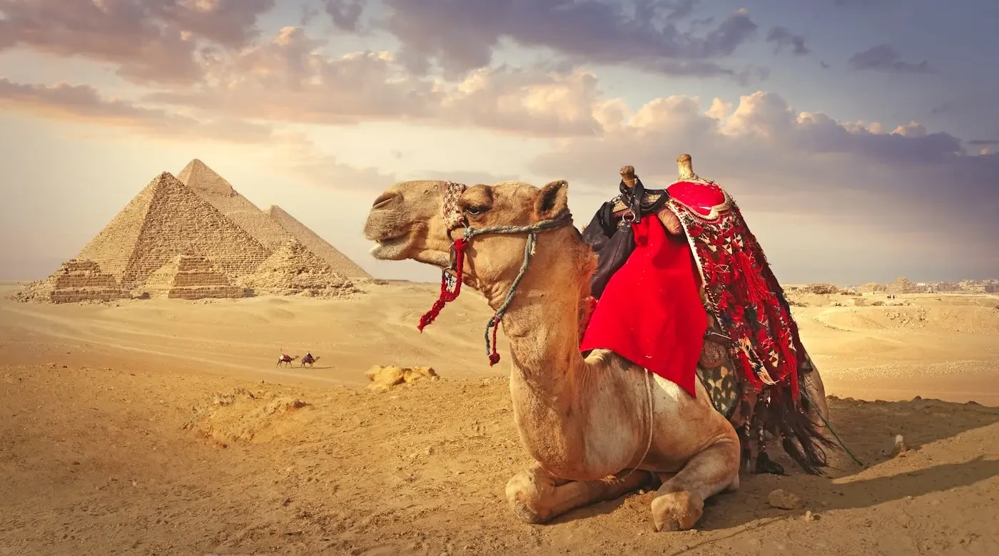 Giza Pyramids Cairo Tour Egypt