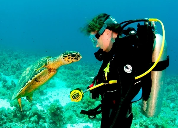Ras Mohammed Diving Trip Red Sea