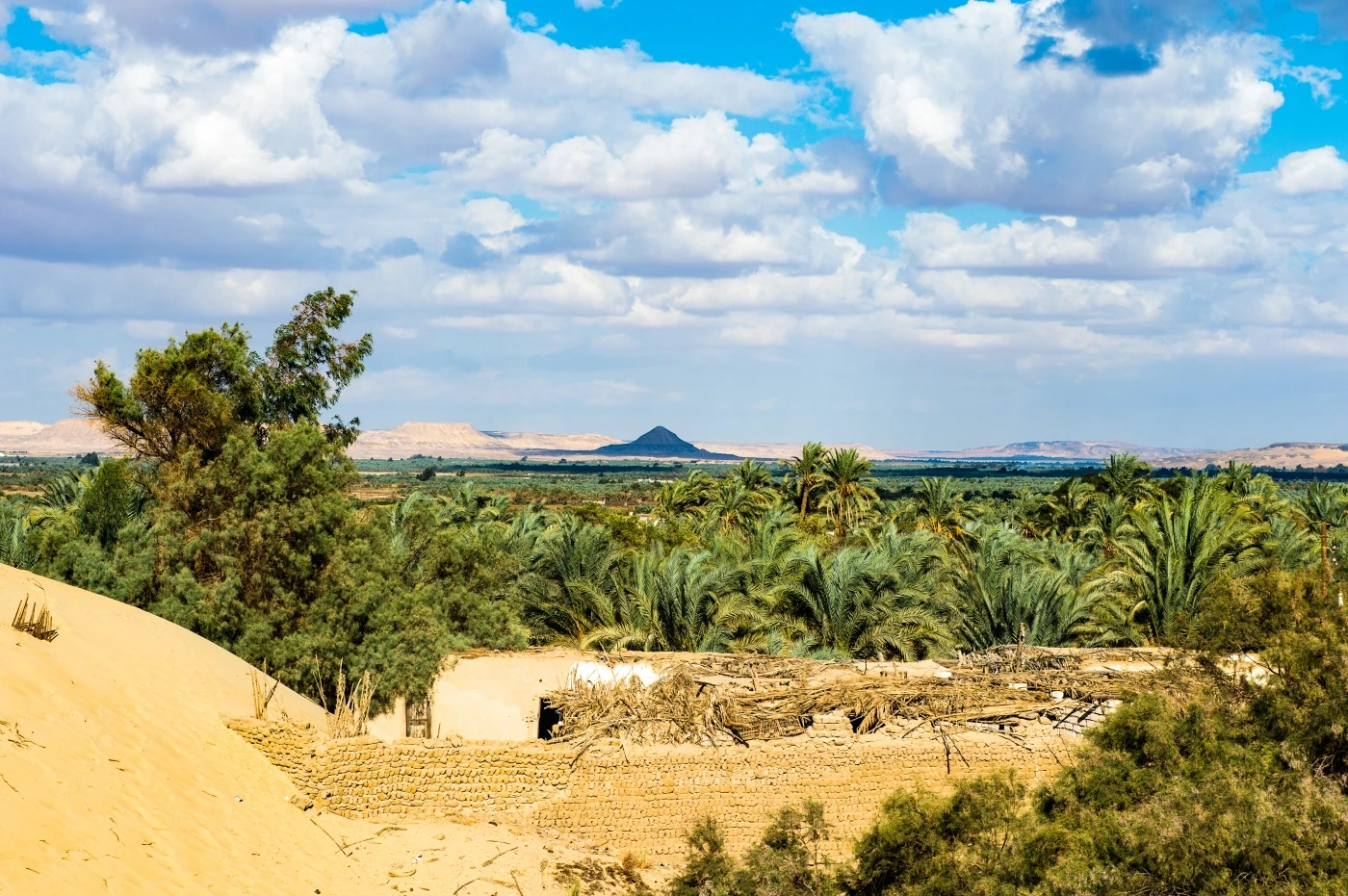 Bahariya Oasis landscape