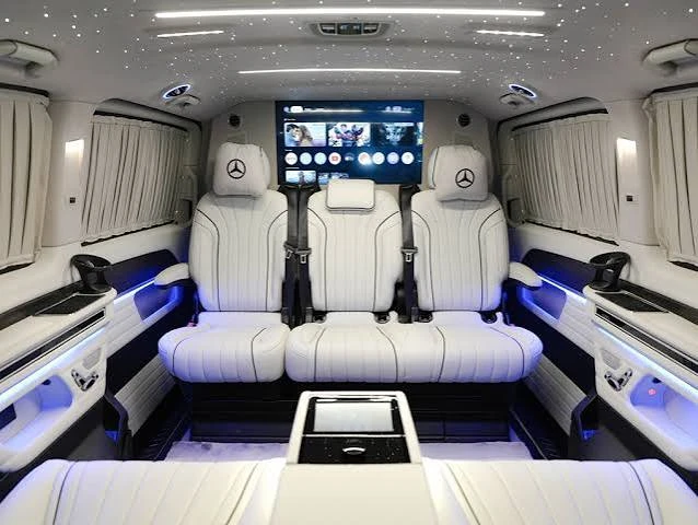 Mercedes Viano with Driver in Cairo