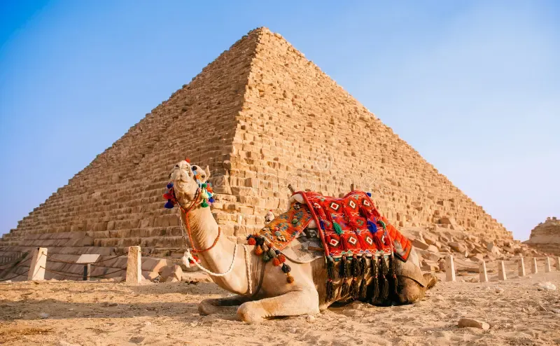 Egypt Wheelchair Accessible Tours