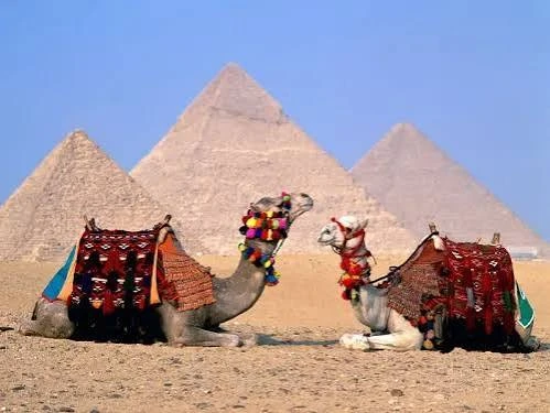 Half-Day Tour to the Pyramids of Giza and the Sphinx from Cairo