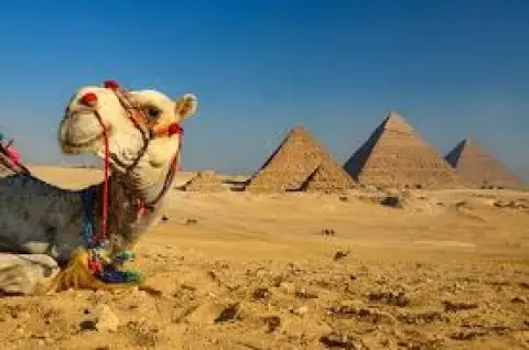 Giza Pyramids Half-Day Tour including Camel Ride
