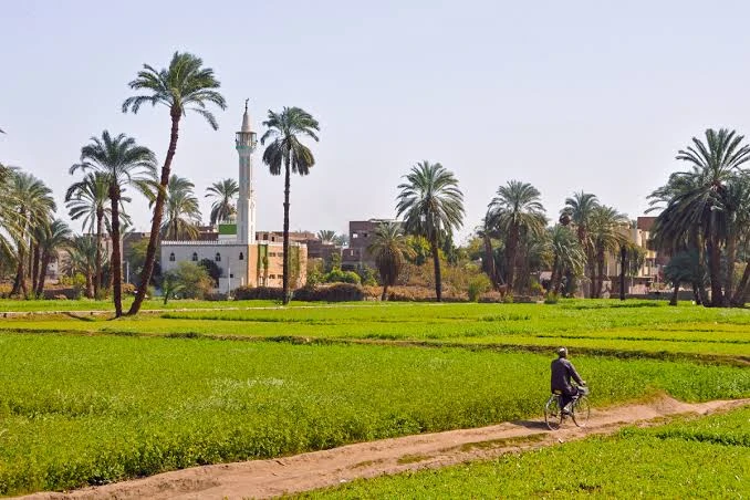 Giza Countryside And Dahshour Day Tour