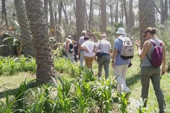 Giza Countryside And Dahshour Day Tour