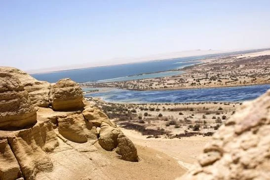 A Private Day Tour Fayoum Oasis and Wadi El Rayan